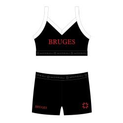 Ensemble Training - Bruges