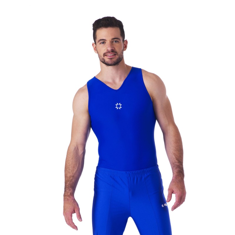 Royal Blue Leotard