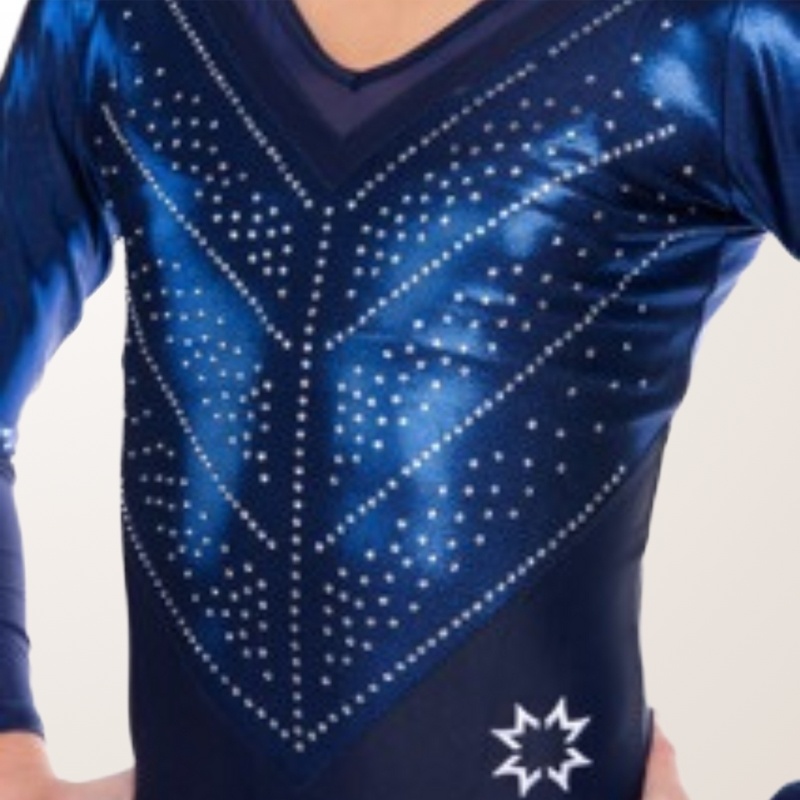 Blue Long Sleeve Leotard