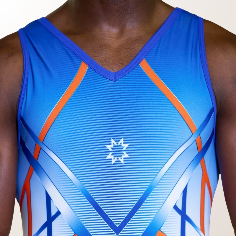Leotard bleu gym